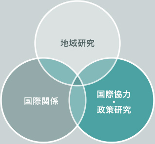 日本早稻田大学国际关系学专业设置（MA+Ph.D.）