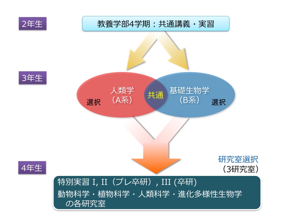 日本东京大学生物学科的专业设置是怎样的? 日本东京大学生物学科的专业设置是怎样的?