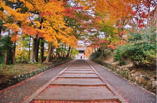 没有排名，你应该怎么选日本语言学校？